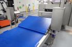 2008 Rademaker Sheeting Line 1000mm Wide